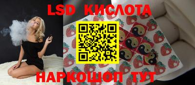 прущие грибы Новозыбков