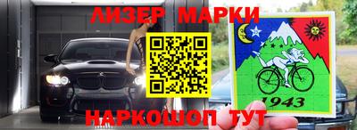 прущие грибы Новозыбков