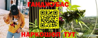 соль ск Новодвинск