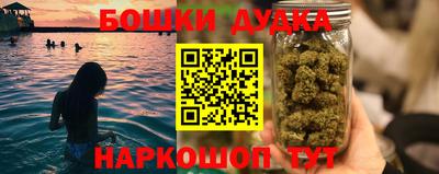 соль ск Новодвинск
