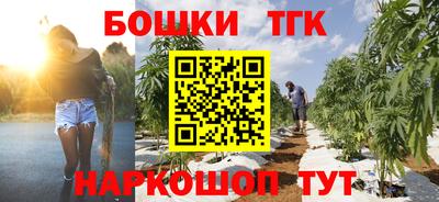 соль ск Новодвинск