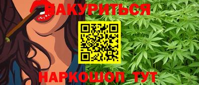 прущие грибы Новозыбков