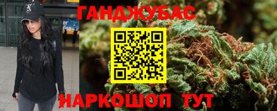 прущие грибы Новозыбков