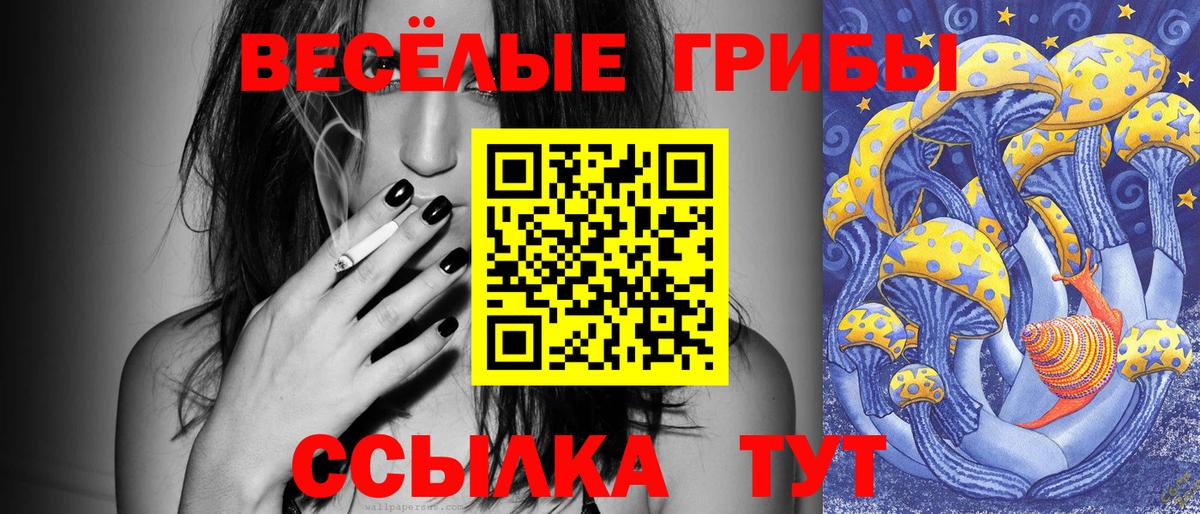Галлюциногенные грибы MAGIC MUSHROOMS  Вход с VPN  Псилоцибиновые грибы прущие грибы  Соль-Илецк 