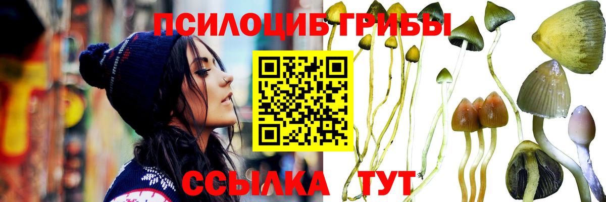 Галлюциногенные грибы мицелий Соль-Илецк